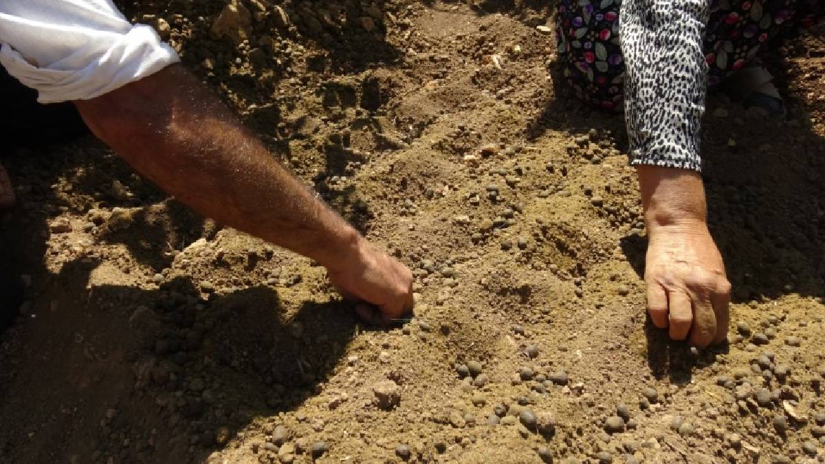 İnternette gördü para kaynağı oldu! 10 metrekaredeki üretimi 800 metrekareye çıkardı