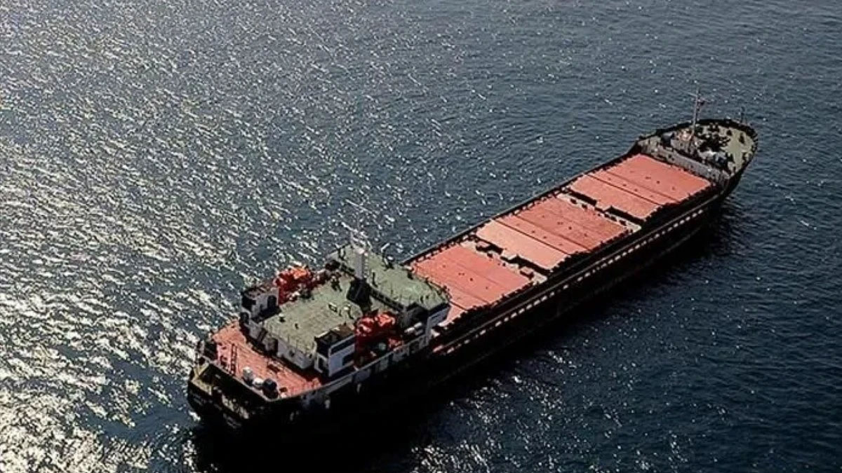Gemiden tonlarca uyuşturucu çıktı