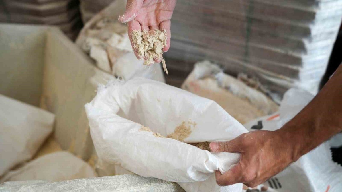Un fabrikasında 30 ton böceklenmiş bozuk un ele geçirildi