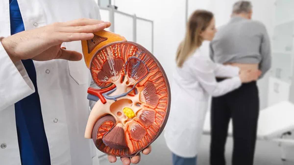 Tuvalete gitmeyi erteleyenler dikkat: Sürekli idrar tutmak böbrekleri tehdit ediyor!