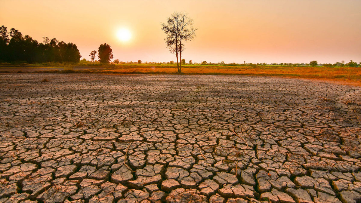 NOAA’dan El Nino uyarısı: Son 76 yılın en güçlüsü olabilir