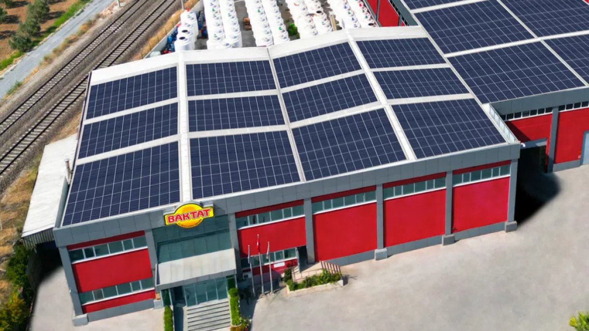 40 yıllık zeytin devine konkordato: 1 yıl mühlet verildi