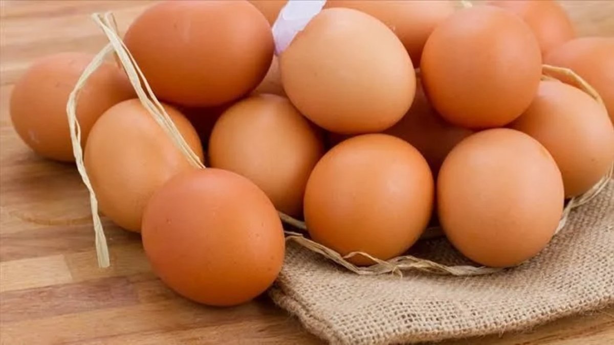 Salmonella salgını Avrupa'yı sardı: 8 ülkeye yayıldı, 306 kişi hastalandı