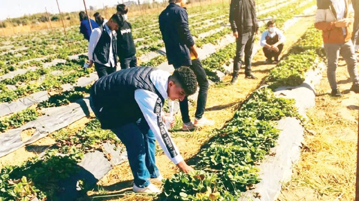 Gıda güvenliğinde derin zaafiyet dönemi