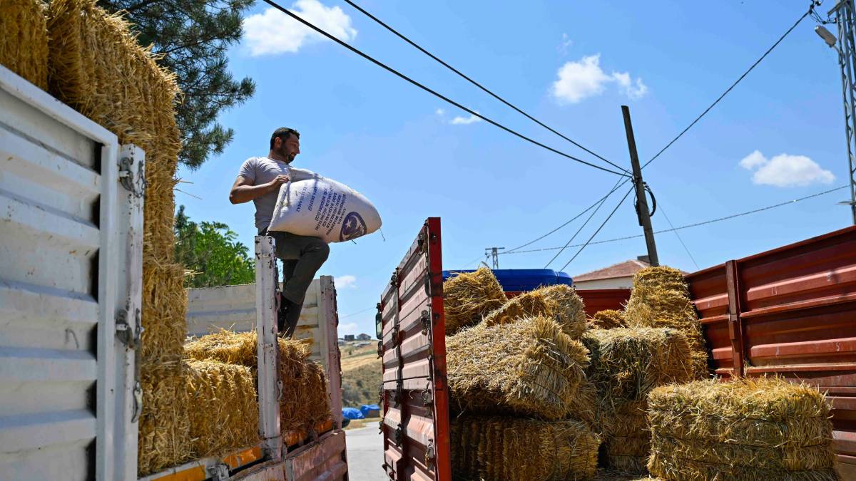Ata Çiftliği’nde yapılan hasat kırsaldaki üreticiye ulaştırılıyor