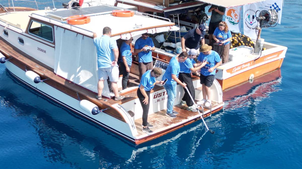 Eskişehir Hayvanat Bahçesinde yetiştirilen 13 Mustelus mustelus yavrusu doğaya salındı