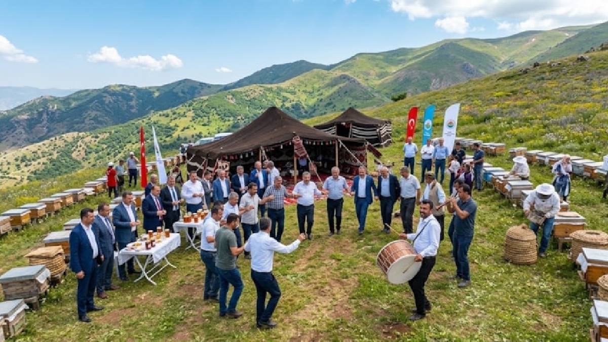 480 tonluk rekor üretim yapıldı! Adıyaman’da yüksek verim davul zurnayla kutlandı