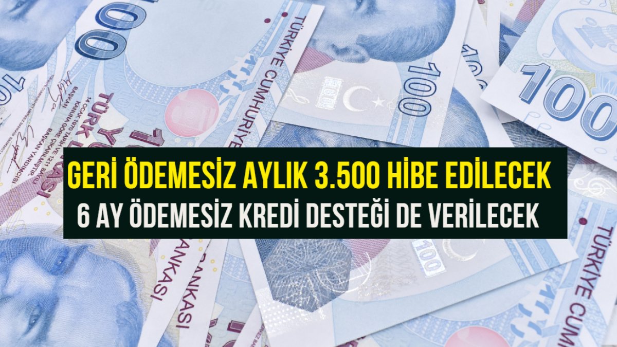 Çalışanını işten çıkarmayan işletmelere devletten aylık 3.500 TL hibe ve 50 Milyon TL kredi desteği!