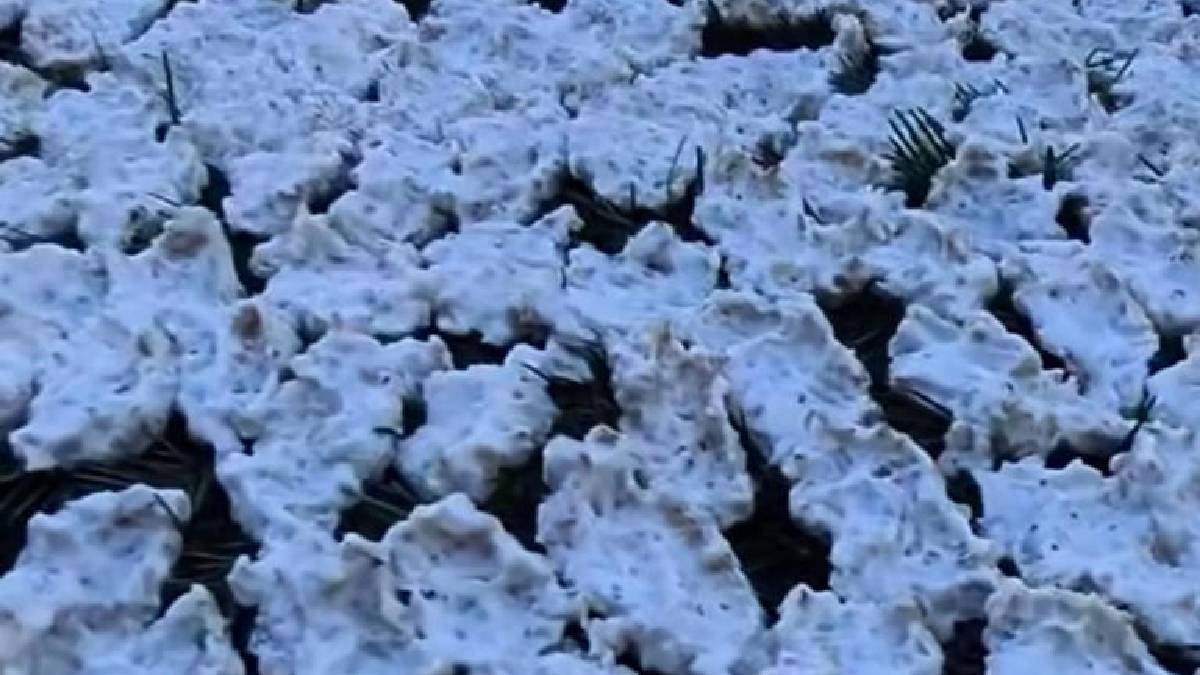Yaz mevsimi demek yüzyıllık gelenek demek! Kahramanmaraş’ta hummalı çalışma başladı