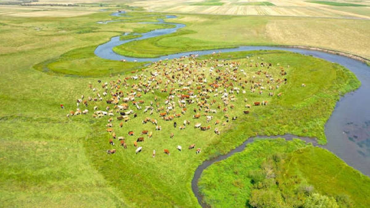 Ovada menderesler oluşturarak akıyor! Kars’ta tarım ve hayvancılığın en büyük destekçisi