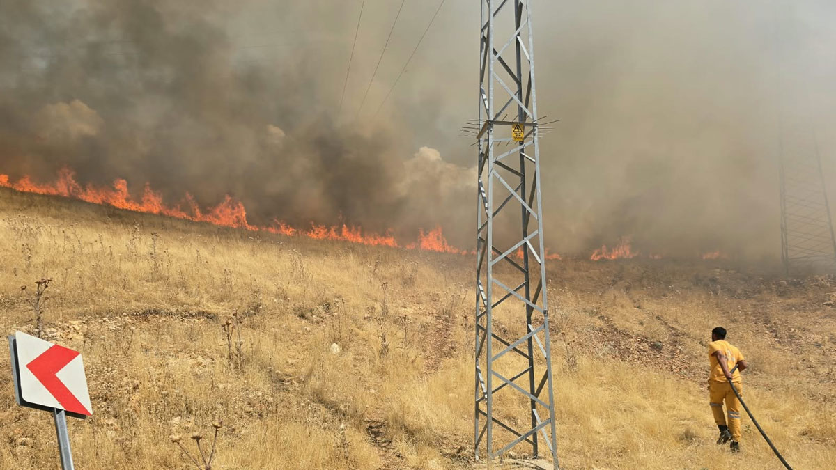Diyarbakır’da örtü yangını ormanlık alana sıçradı