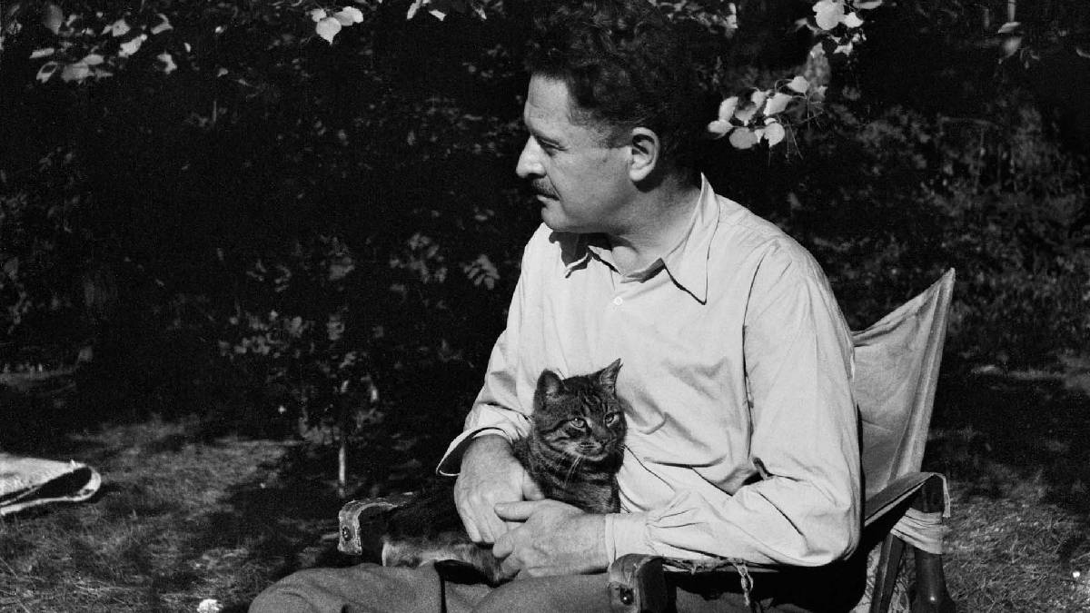 Nâzım Hikmet’in yaşamına çok katmanlı bir yolculuk