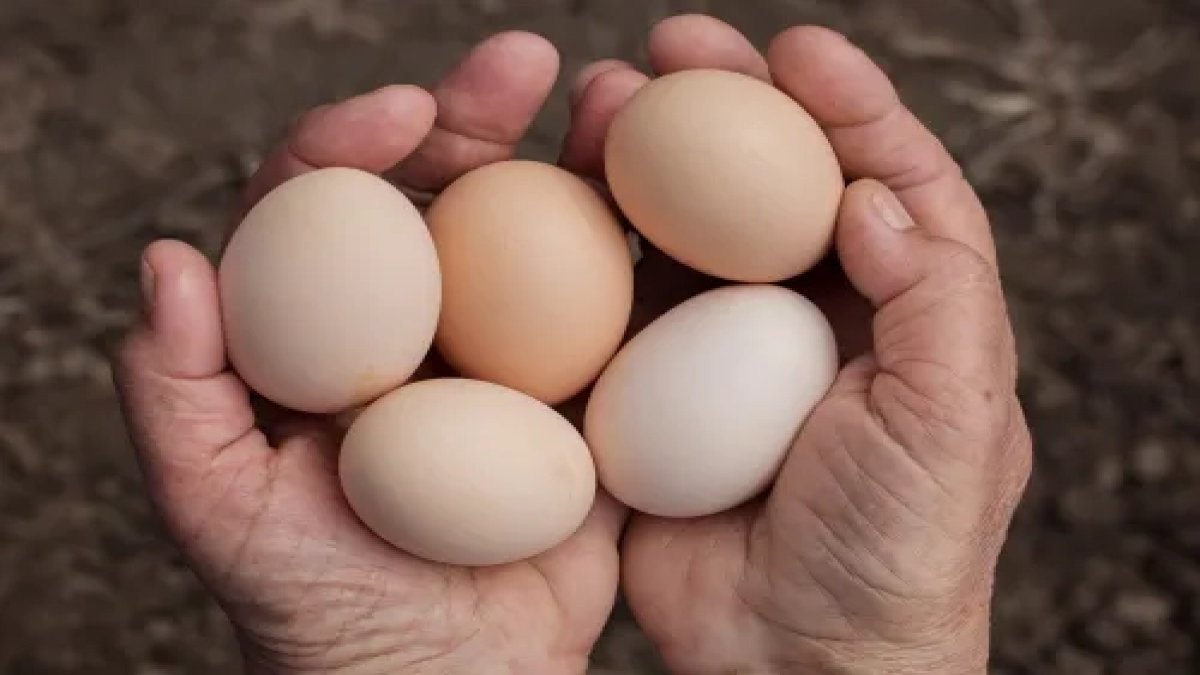 Markette fiyatı en çok artan ürün yumurta oldu