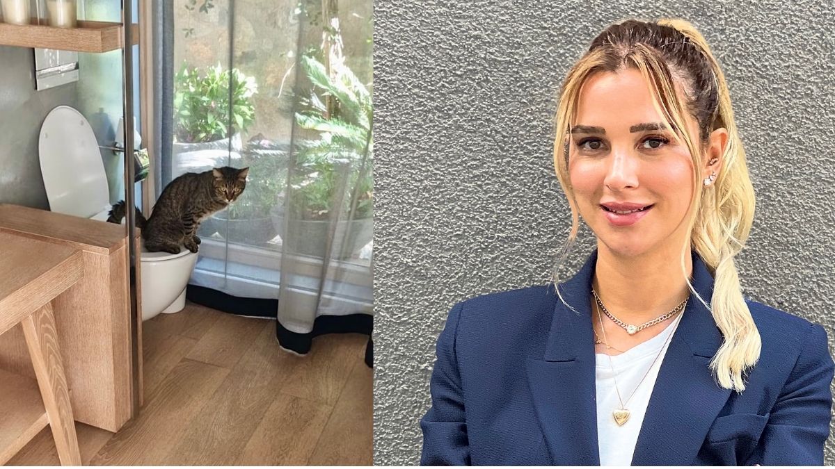 Pınar Sabancı paylaştı gündem oldu! Kedisi kum değil klozet kullanıyor