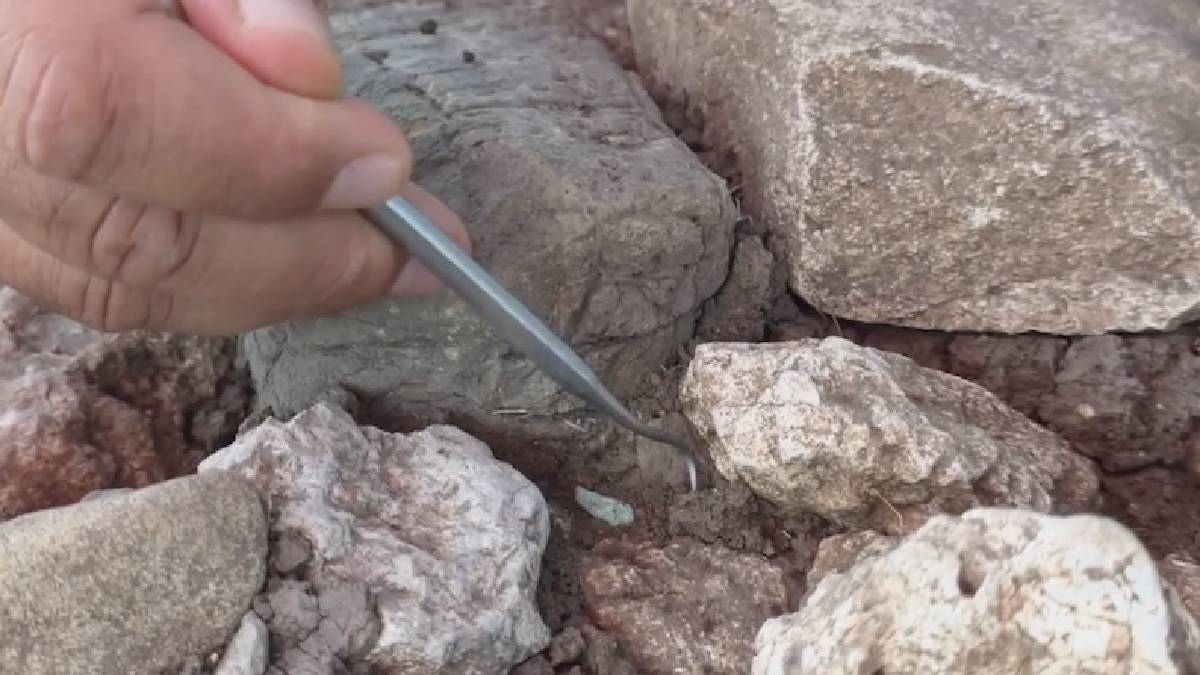 Çayönü’nde 8 bin 800 yıllık keşif: Binlerce yıl öncesine ait madencilik işliği bulundu