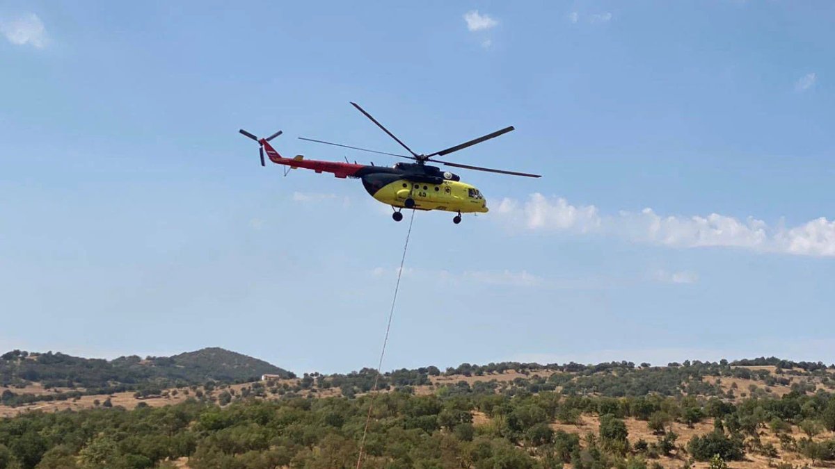 Balıkesir'de orman yangını: Havadan ve karadan müdahale başlatıldı