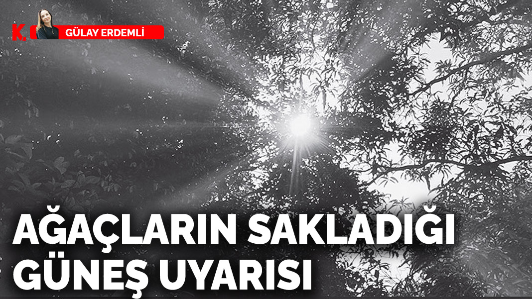 Ağaçların sakladığı güneş uyarısı