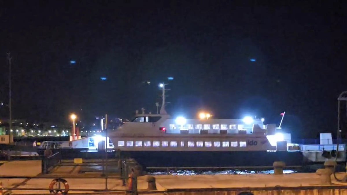 Mudanya'da İDO deniz otobüsü iskeleye çarptı