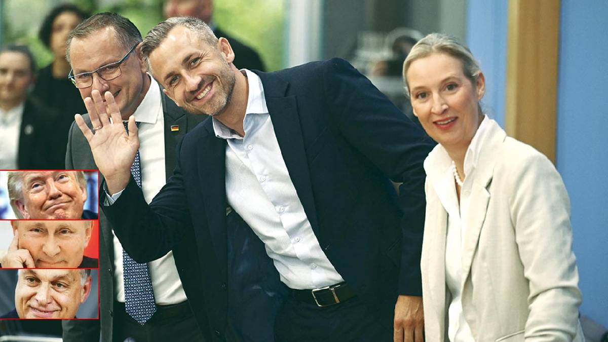 AfD kazandı onlar sevindi