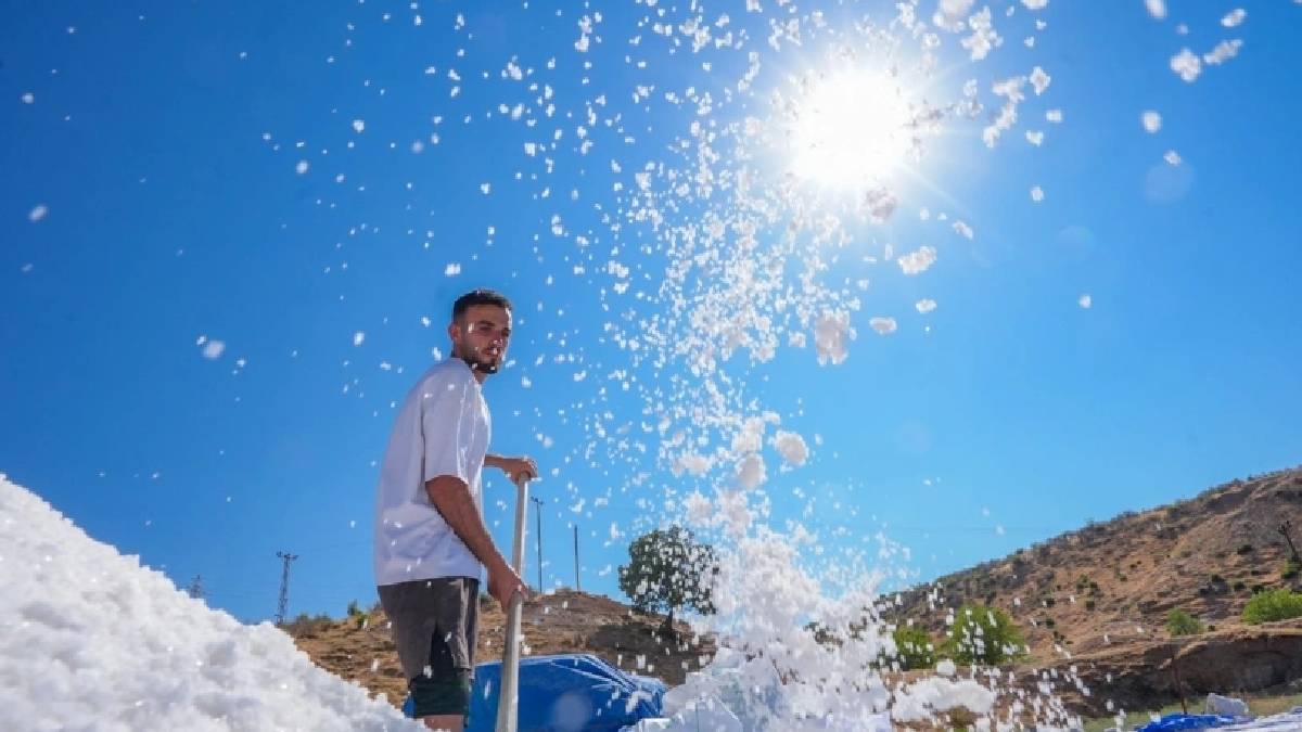 Dağlardan getiriliyor havuzda buharlaştırılıyor! Sıcaklıkla birlikte üretimleri de tavan yapıyor