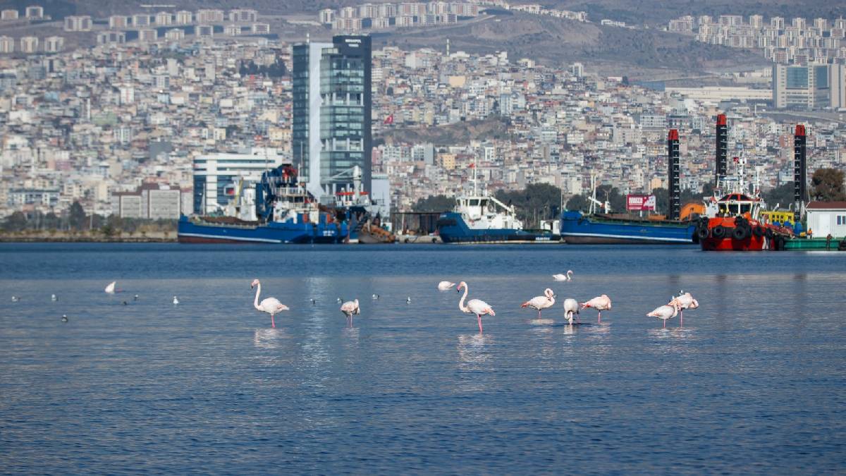 İzmir’in iklim deneyimi Avrupa’ya taşınacak