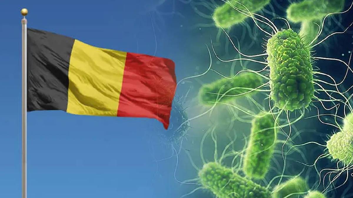 Belçika’da Salmonella salgını: Vaka sayısı hızla artıyor