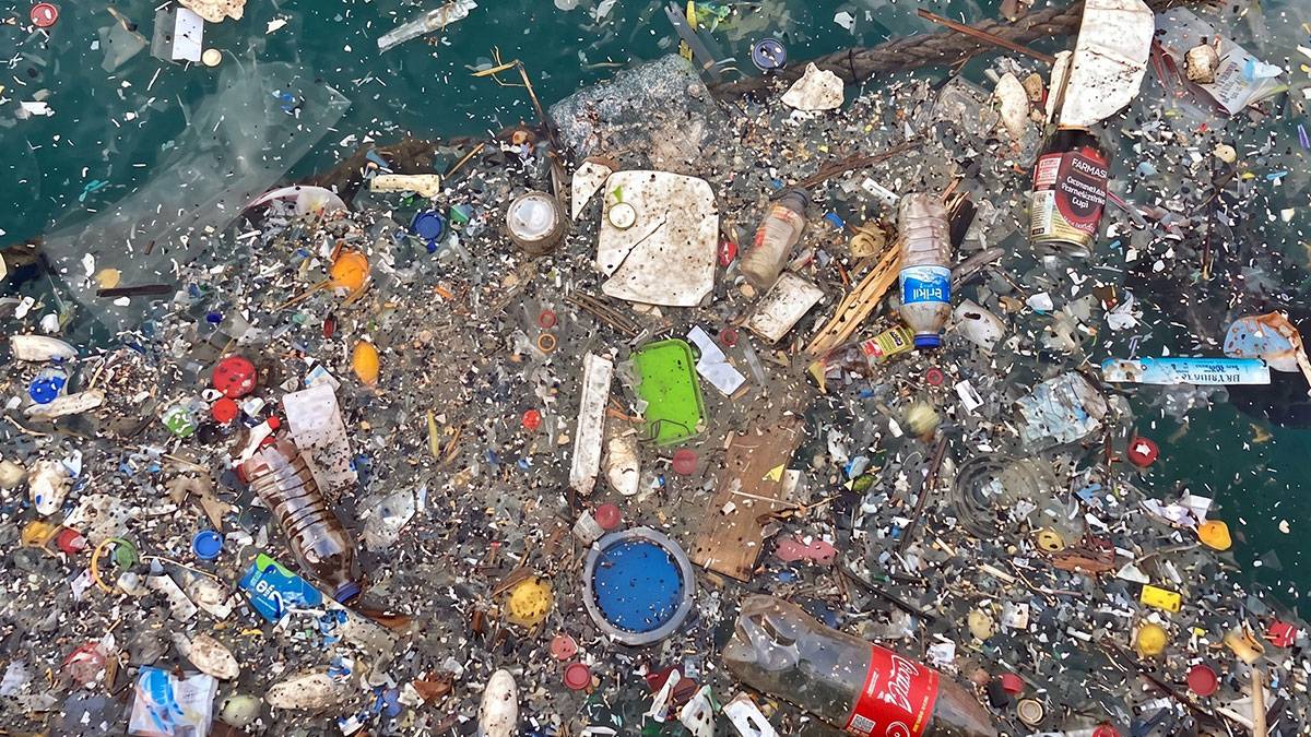 Türkiye'nin dört bir yanını saran gizli felaket: Kıyılarımız geri dönülemez noktada