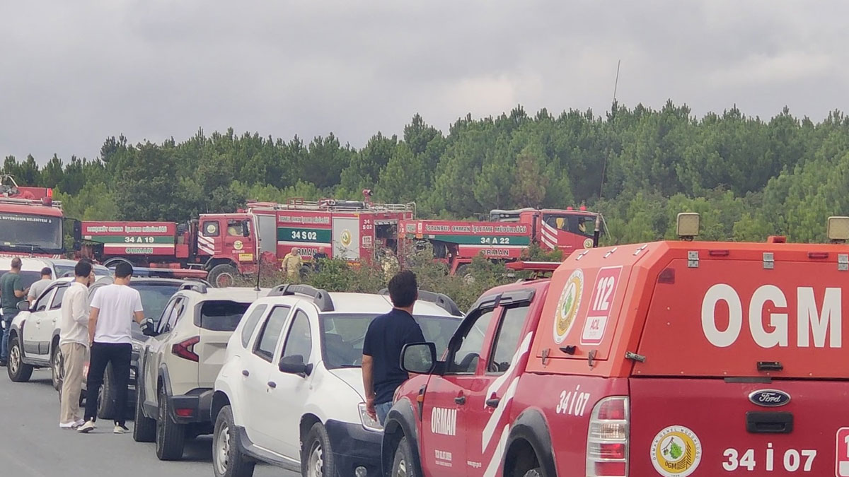 Arnavutköy’de orman yangını: Helikopterlerle müdahale ediliyor