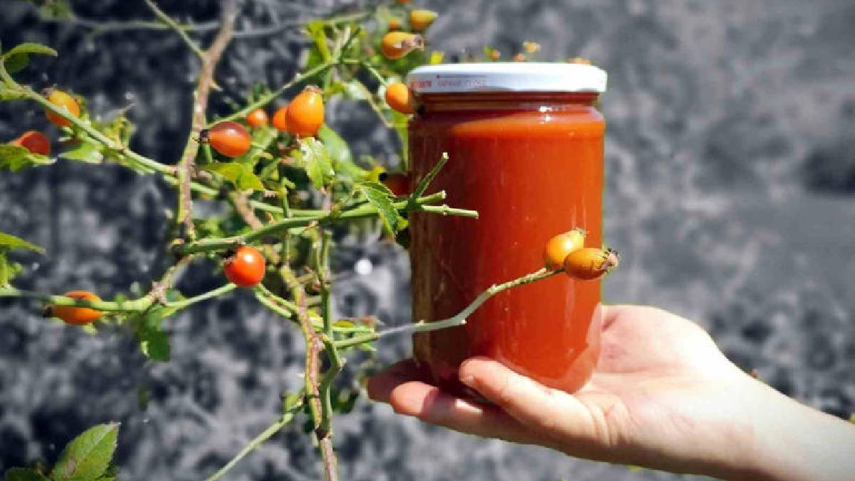 100 gramı bir kasa portakala denk geliyor! Erzincan’da dikenli dallardan sofralara uzanan yolculuk