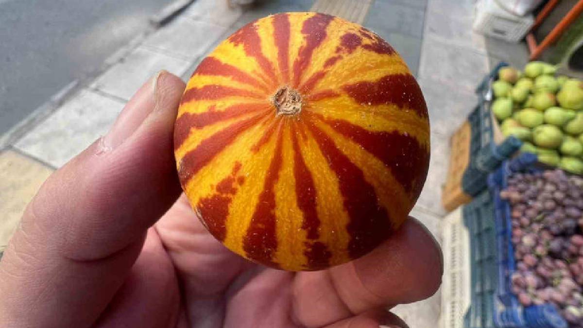 Boyutu küçük olsa da kokusu tüm evi sarıyor! Tanesi 30 TL’den tezgaha indi