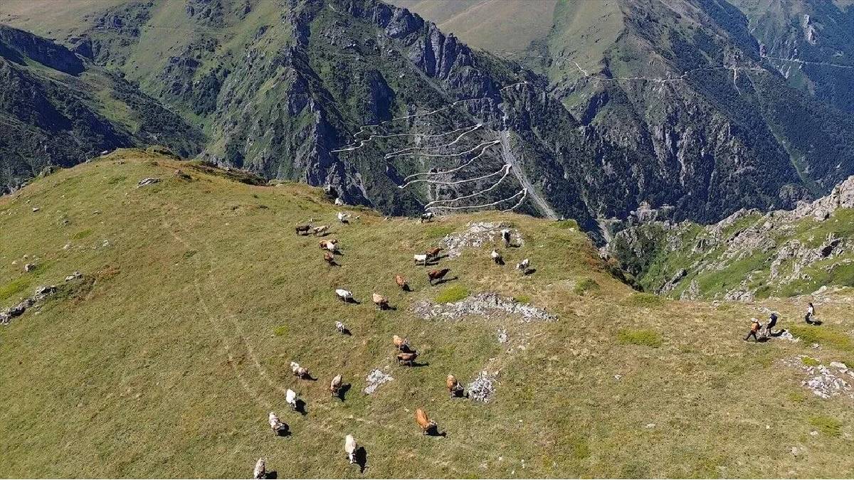 18 km’lik zorlu tırmanışın ardından zirveye ulaşılıyor! Doğu Karadeniz’in saklı cenneti unutulmaz anlar yaşatıyor