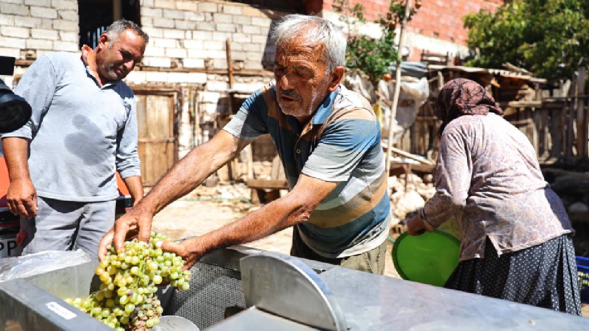 Büyükşehirden üzüm sıkma makinesi desteği: Üreticiler hem zamandan hem maliyetten tasarruf ediyor