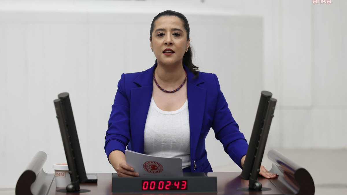 EMEP’li Karaca, 16 yaşındaki mülteci çocuğun ölümünü Meclis gündemine taşıdı