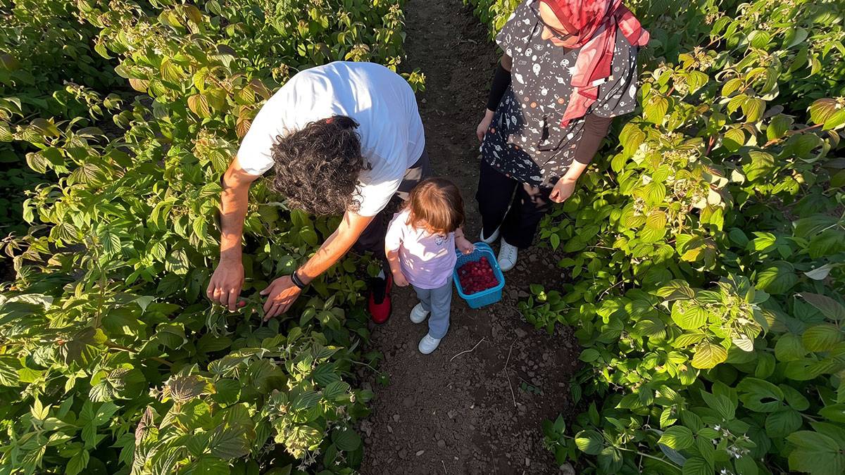 Memuriyet beklemek yerine toprağa sarıldı: 'İstediğin kadar ye, aldığın kadar öde' bahçesi kurdu
