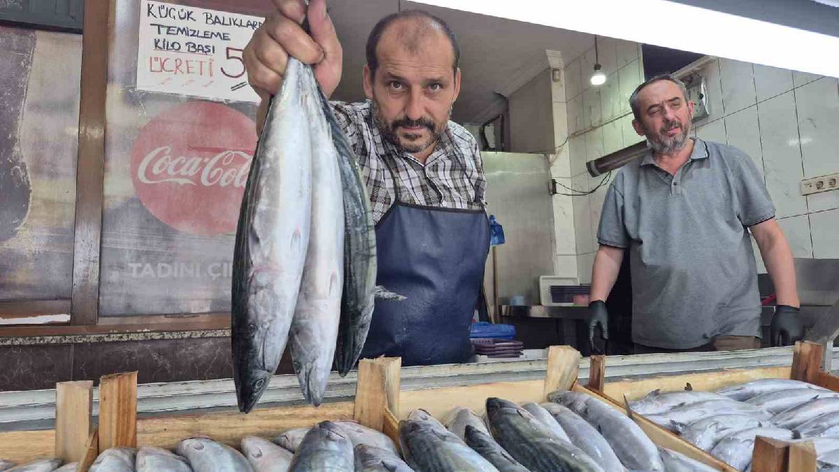 Denizde bereket arttı fiyatlar düştü! En pahalısı 200 TL’den satışta