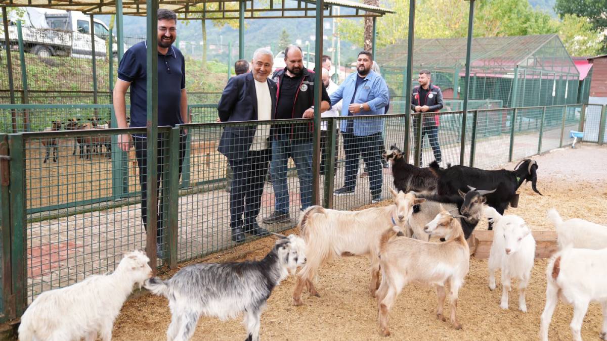 Can dostlarımızın sağlığı ve bakımı için çalışmalar sürüyor