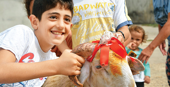 5 milyon kurbanlık var paniğe gerek yok