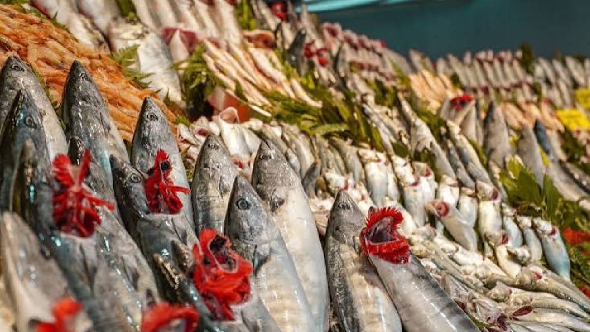 Eylül’ün ilk haftasında 1850 ton satış yapıldı! Palamuttaki bolluk tüm fiyatları düşürdü