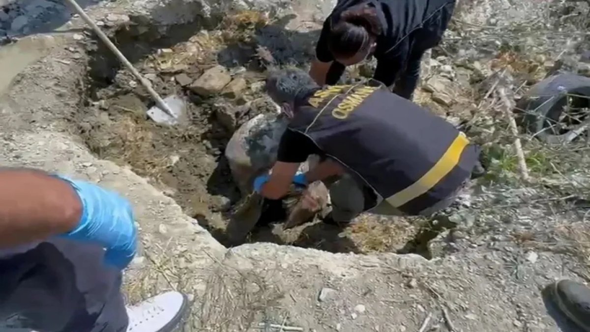 Müge Anlı'da aranan Ayşegül Yaşar'a ne oldu? Öldü mü, cansız bedeni nerede bulundu? Tamer Kahveci'den kan donduran itiraf geldi