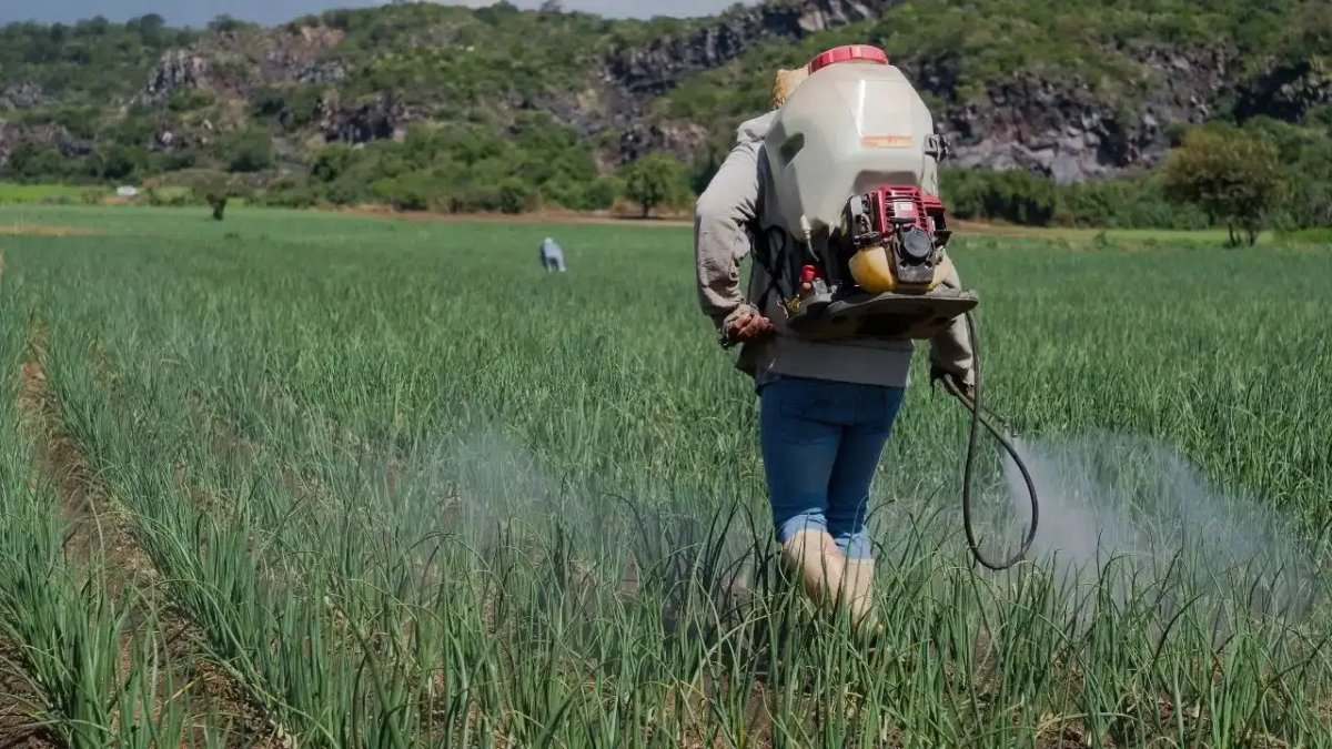 Tarımdaki pestisit sürecine dijital takip: 'B-Reçete' dönemi başladı