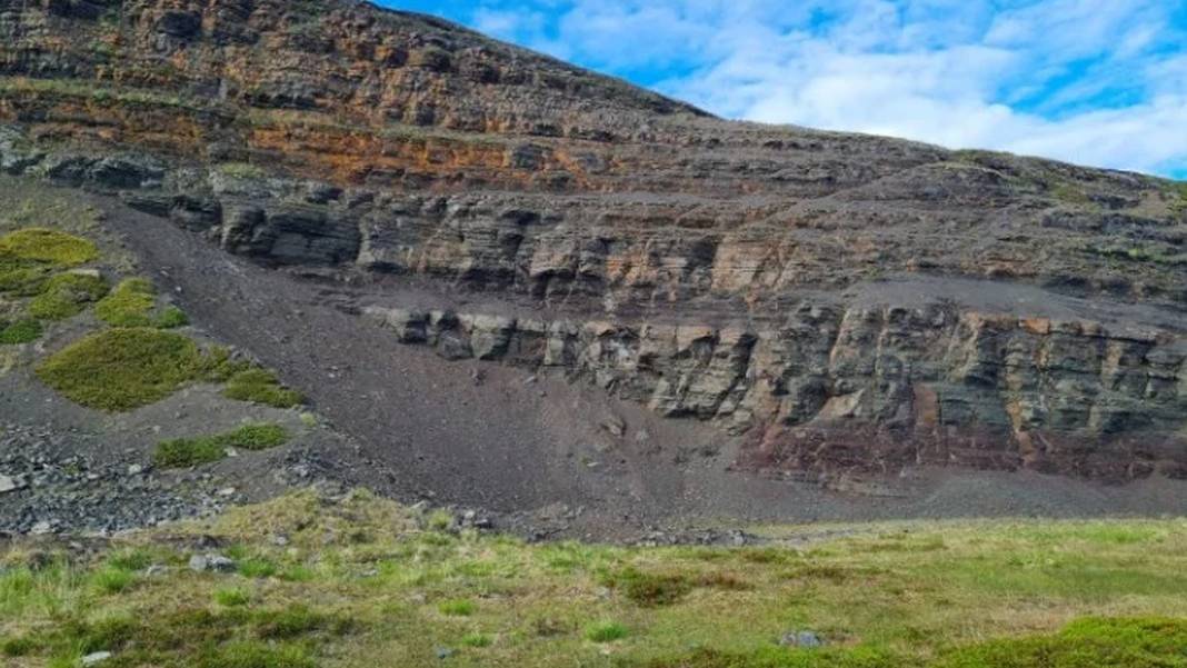Norveç’teki çiftlikte 560 milyon yıllık sır: En eski "Charnia" fosili bulundu