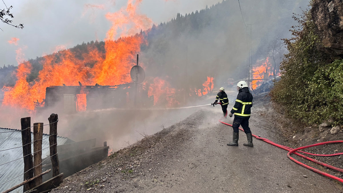 Kastamonu İnebolu'da köy yangını 4 eve sıçradı