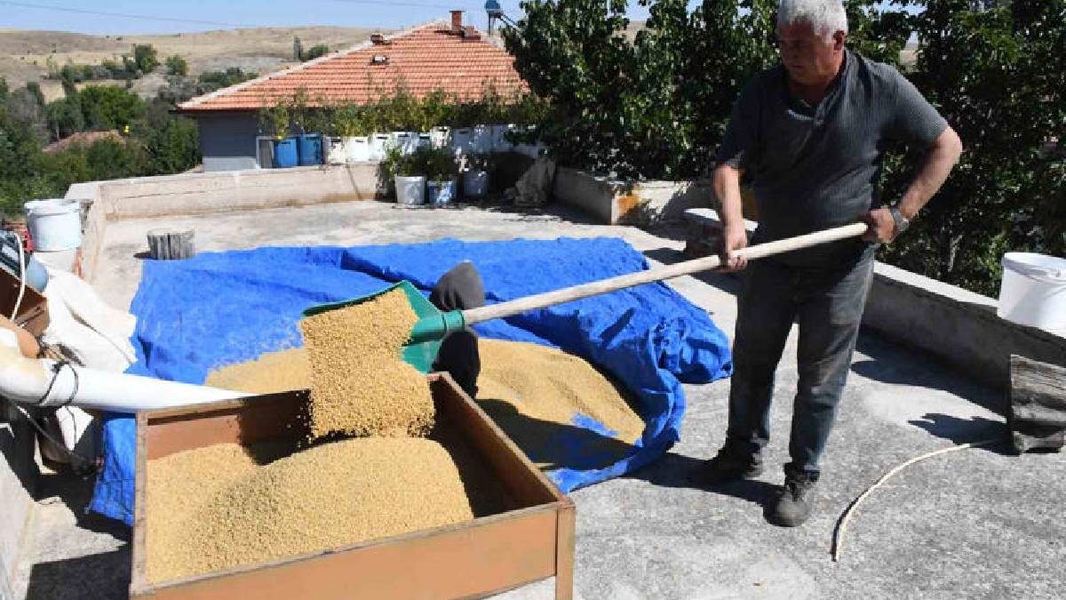 Yılda 12 ton üretim yapıyorlar! Yozgatlı çift 40 yıldır ateş başında emek veriyor