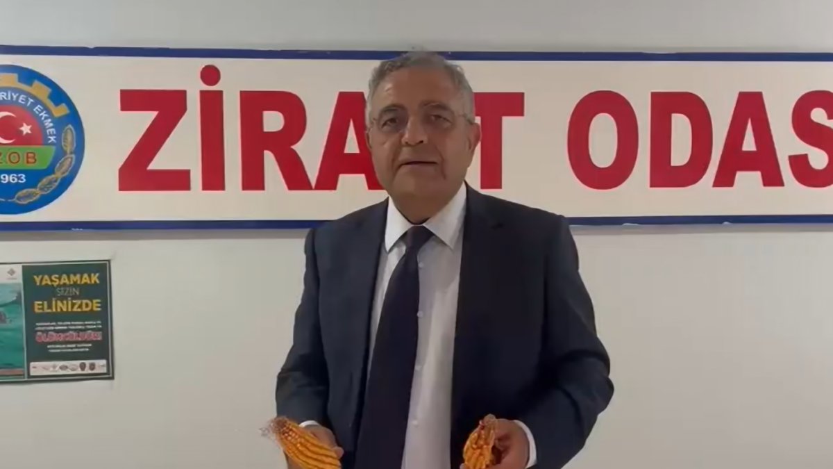 Tanrıkulu’ndan mısır üreticisi için çağrı: Bari çiftçiyi mısırda mağdur etmeyin