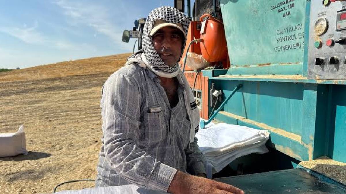 Tarlada 2.5 lira, besiciye 7 lira! Diyarbakır’dan çıkarıyor Türkiye'ye satıyor