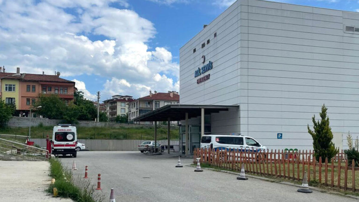Çorum’da arı sokumu sonrası tedavi gören yaşlı vatandaş hayatını kaybetti