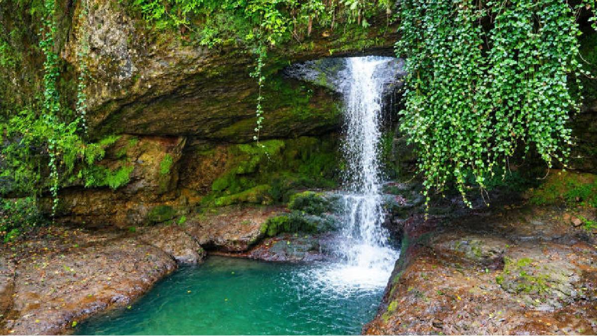 ‘Ormanın Yüzüğü’ yenilenen yüzüyle büyüledi! Artvin’in doğa harikasına ziyaretçi akını