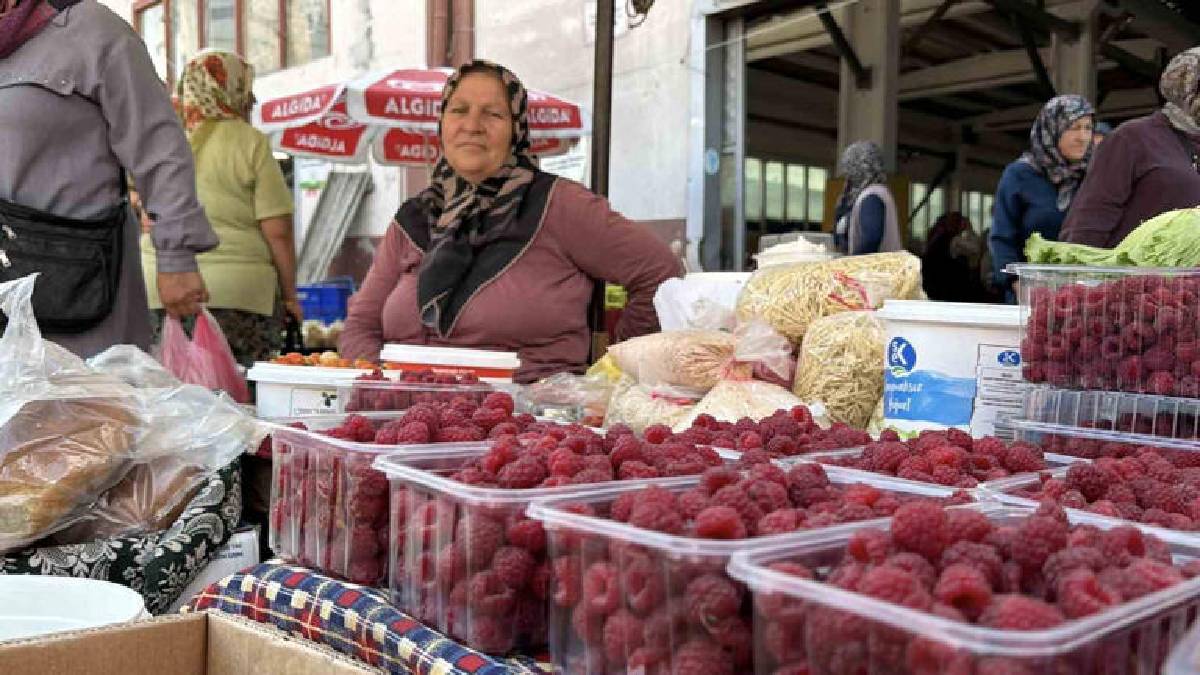 Ne aracı var ne katkı! Bolu’da %100 doğal köy ürünleri tezgahta