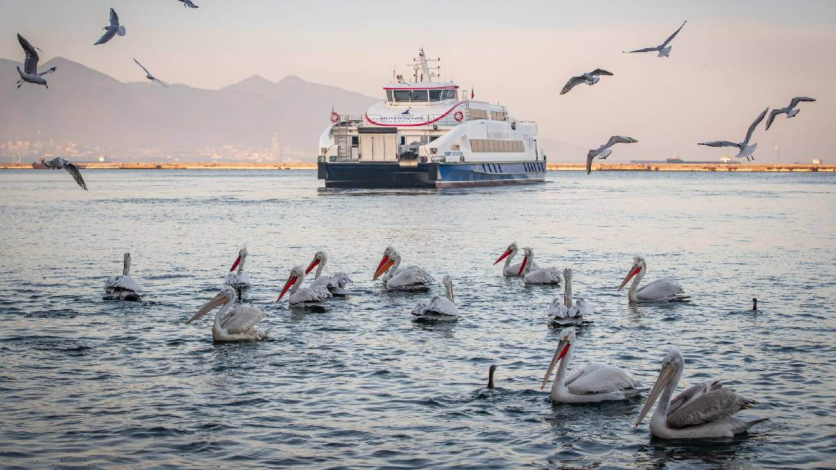 İzmirlilerden İZDENİZ’e yüksek puan