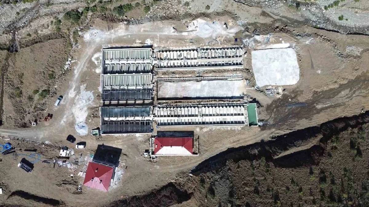 Yıllık üretim 55 milyonu geçiyor! Erzincan’dan 18 ülkenin sofrasına ulaşıyor